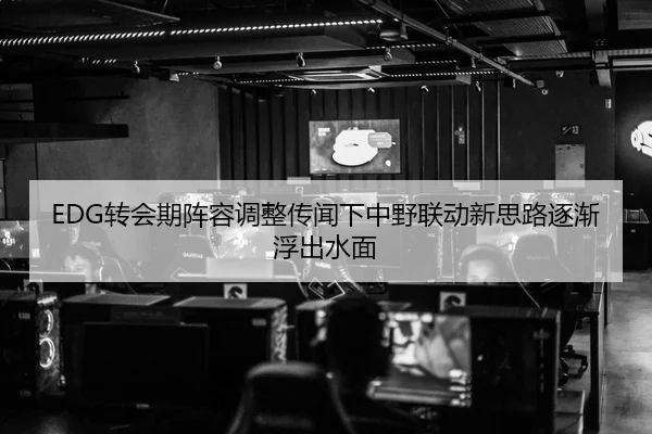 EDG转会期阵容调整传闻下中野联动新思路逐渐浮出水面 - JIUZHOUSPORTS